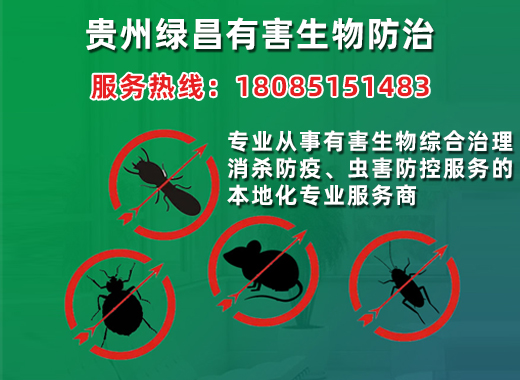 绿昌黔西南布依族苗族自治州线上分站